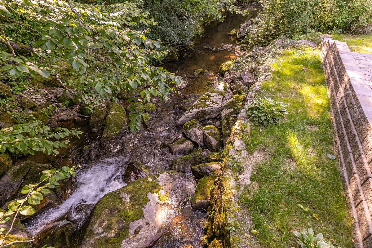 A peaceful scene of flowing water along a rocky bank, enveloped by lush greenery and a stone pathway. The setting is perfect for nature walks, wildlife observation, or simply soaking in the sounds of the creek, directly tying into the theme of natural exploration.